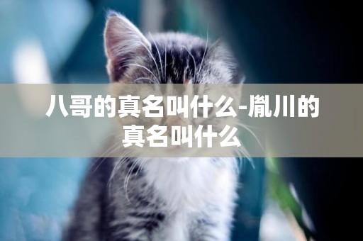 八哥的真名叫什么-胤川的真名叫什么