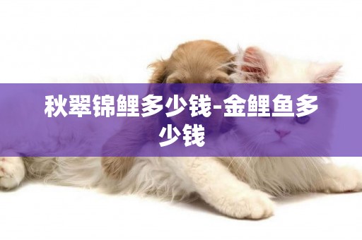 秋翠錦鯉多少錢-金鯉魚多少錢