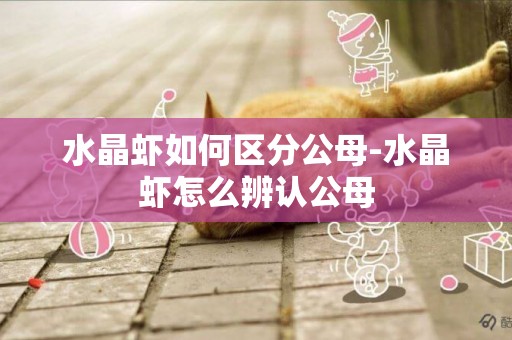 水晶蝦如何區分公母-水晶蝦怎么辨認公母