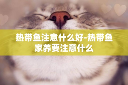 熱帶魚注意什么好-熱帶魚家養要注意什么