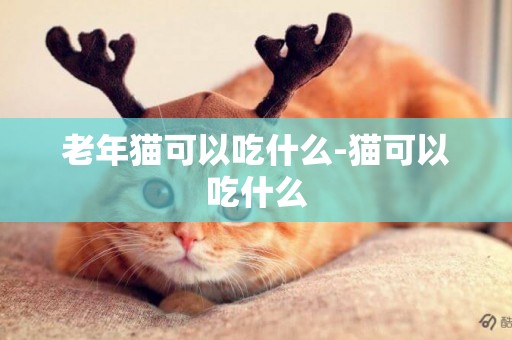 老年貓可以吃什么-貓可以吃什么