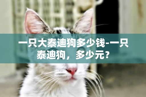 一只大泰迪狗多少錢-一只泰迪狗，多少元？