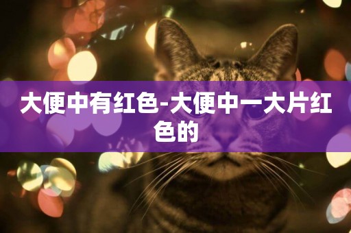 大便中有紅色-大便中一大片紅色的