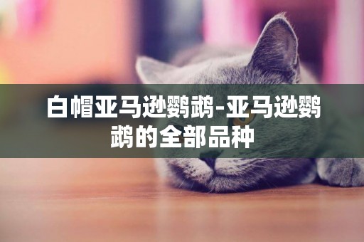 白帽亞馬遜鸚鵡-亞馬遜鸚鵡的全部品種