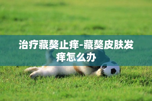 治療藏獒止癢-藏獒皮膚發癢怎么辦