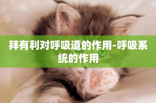 拜有利對呼吸道的作用-呼吸系統的作用