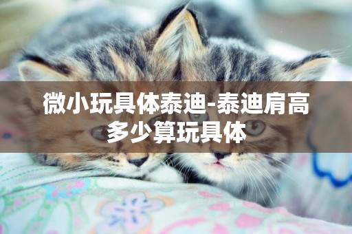 微小玩具體泰迪-泰迪肩高多少算玩具體