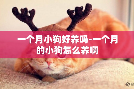 一個月小狗好養嗎-一個月的小狗怎么養啊