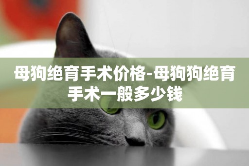 母狗絕育手術價格-母狗狗絕育手術一般多少錢