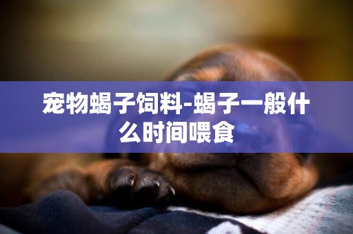 寵物蝎子飼料-蝎子一般什么時間喂食