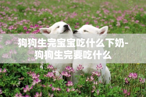 狗狗生完寶寶吃什么下奶-狗狗生完要吃什么
