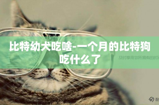 比特幼犬吃啥-一個月的比特狗吃什么了