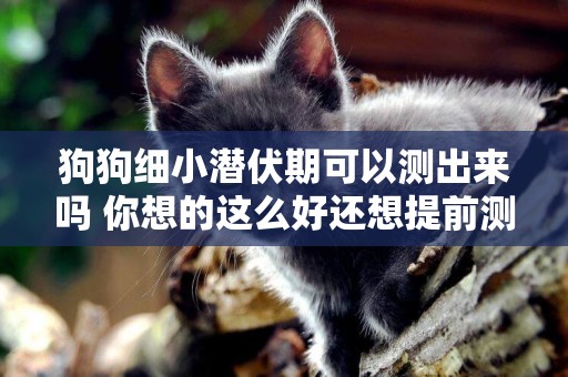 狗狗細小潛伏期可以測出來嗎 你想的這么好還想提前測出來