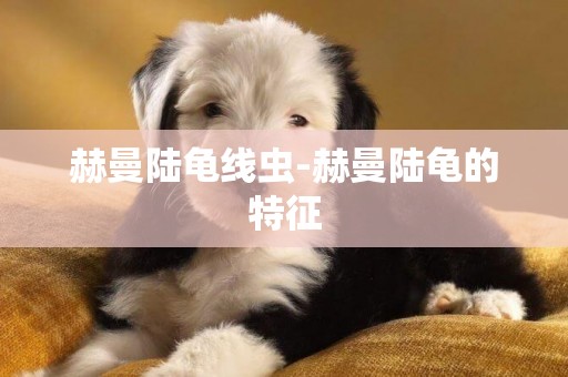 赫曼陸龜線蟲-赫曼陸龜的特征