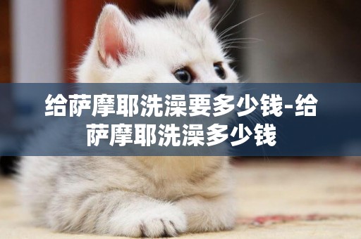 給薩摩耶洗澡要多少錢-給薩摩耶洗澡多少錢