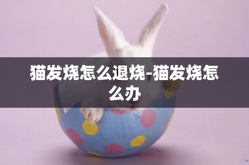 貓發燒怎么退燒-貓發燒怎么辦