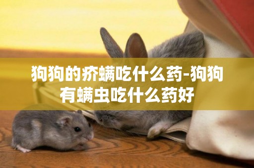 狗狗的疥螨吃什么藥-狗狗有螨蟲吃什么藥好