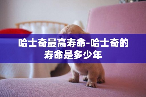 哈士奇最高壽命-哈士奇的壽命是多少年