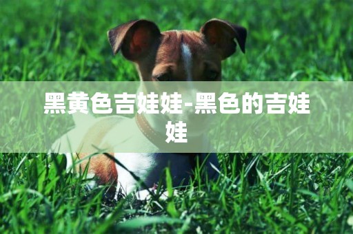 黑黃色吉娃娃-黑色的吉娃娃