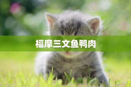 福摩三文魚鴨肉