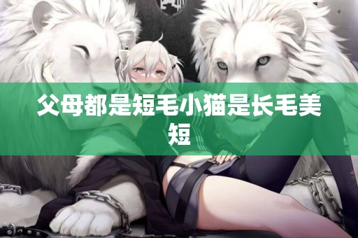 父母都是短毛小貓是長毛美短