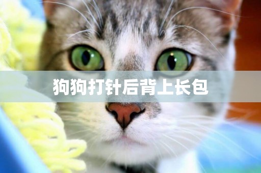 狗狗打針后背上長包