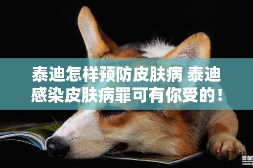 泰迪怎樣預防皮膚病 泰迪感染皮膚病罪可有你受的！