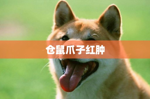 倉鼠爪子紅腫