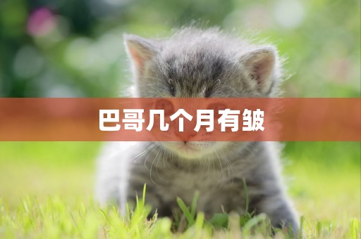 巴哥幾個月有皺