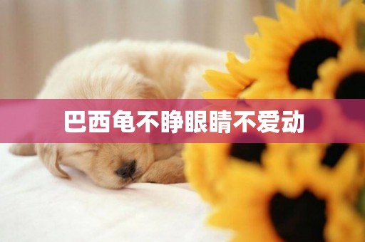 巴西龜不睜眼睛不愛動