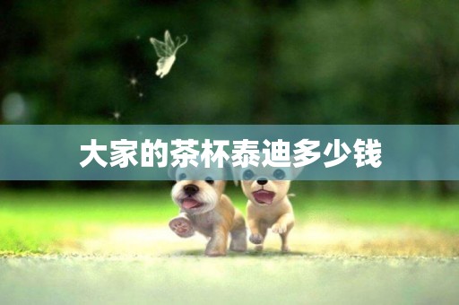 大家的茶杯泰迪多少錢