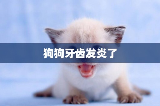 狗狗牙齒發炎了