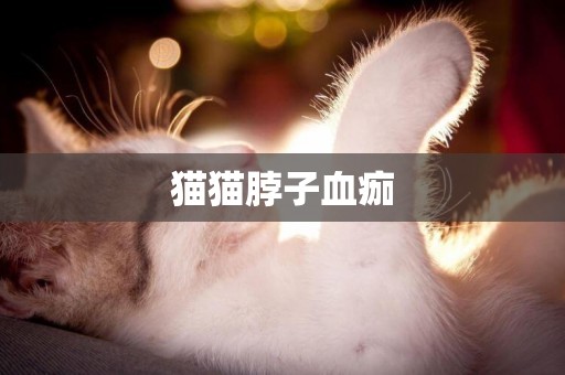 貓貓脖子血痂