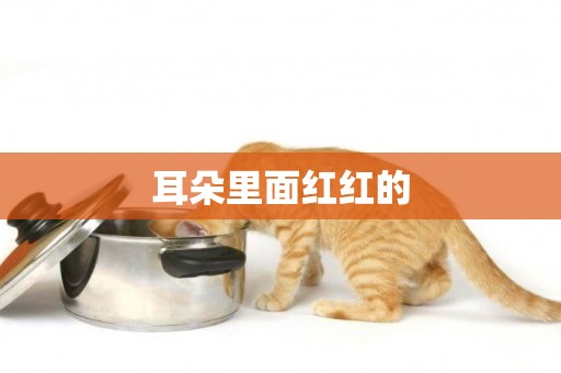 耳朵里面紅紅的