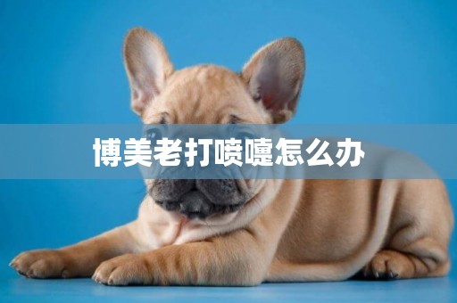 博美老打噴嚏怎么辦