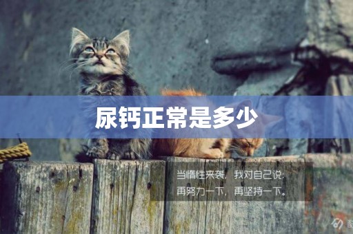 尿鈣正常是多少