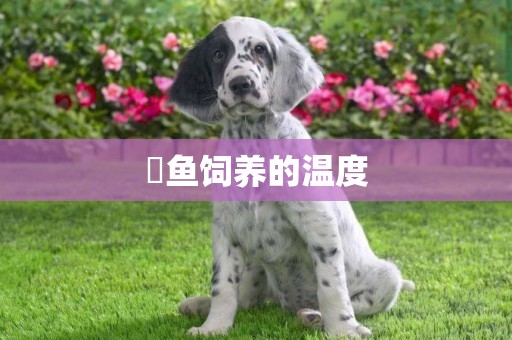 魟魚飼養的溫度
