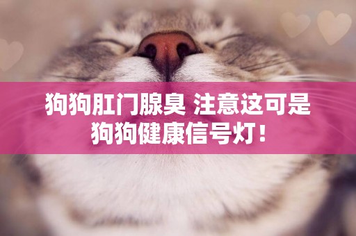 狗狗肛門腺臭 注意這可是狗狗健康信號燈！