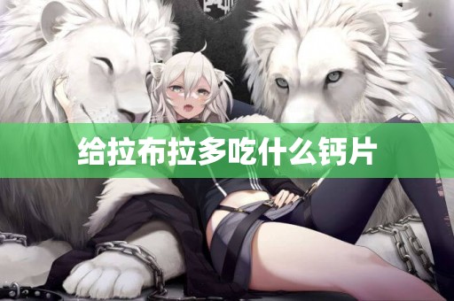 給拉布拉多吃什么鈣片