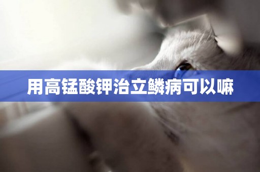 用高錳酸鉀治立鱗病可以嘛