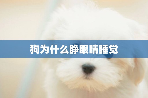 狗為什么睜眼睛睡覺