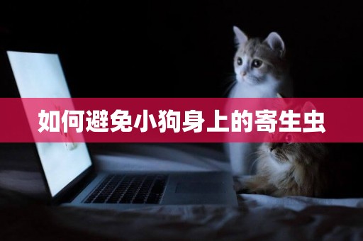 如何避免小狗身上的寄生蟲