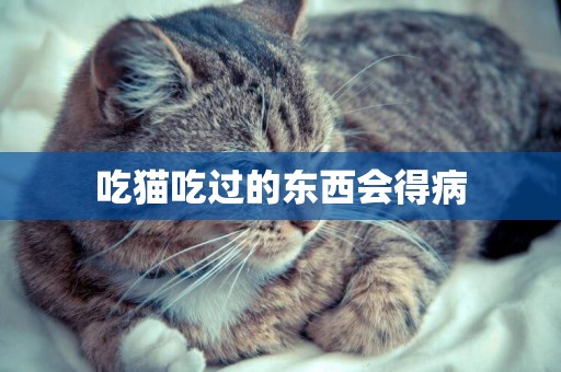 吃貓吃過的東西會得病