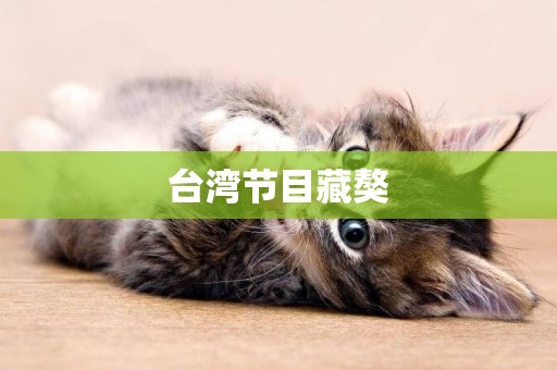 臺灣節目藏獒