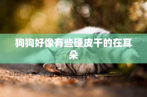 狗狗好像有些硬皮干的在耳朵