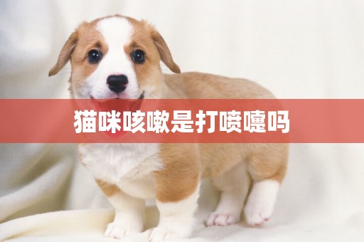 貓咪咳嗽是打噴嚏嗎