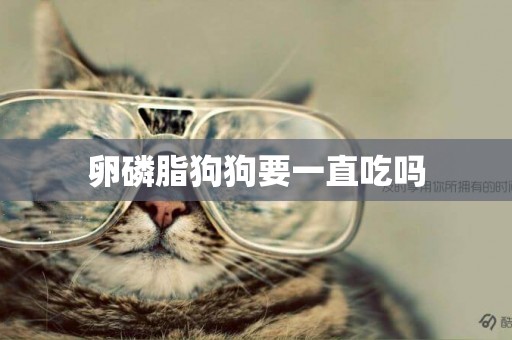 卵磷脂狗狗要一直吃嗎