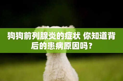 狗狗前列腺炎的癥狀 你知道背后的患病原因嗎？