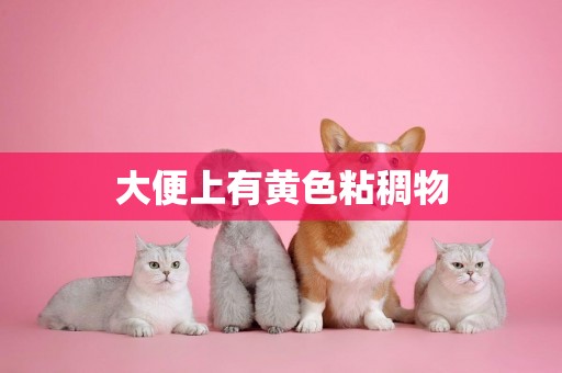 大便上有黃色粘稠物