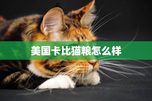 美國卡比貓糧怎么樣